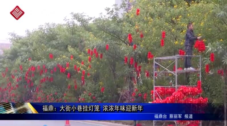 【网络中国节·春节】beat365手机安卓版_365租售宝下载_365bet平台网投：大街小巷挂灯笼 浓浓年味迎新年