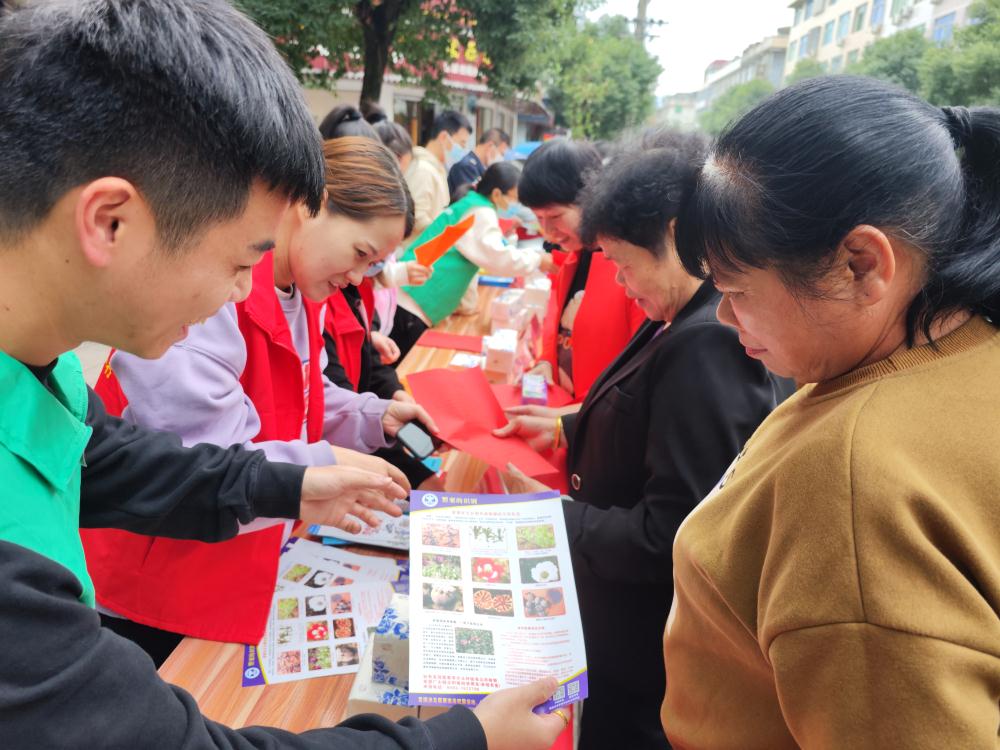 点头镇开展禁毒宣传暨防范养老诈骗宣传